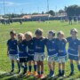 Tournoi M6 Vendredi 8 Mai 2026